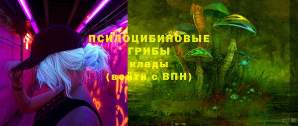 ПСИЛОЦИБИНОВЫЕ ГРИБЫ Богородицк