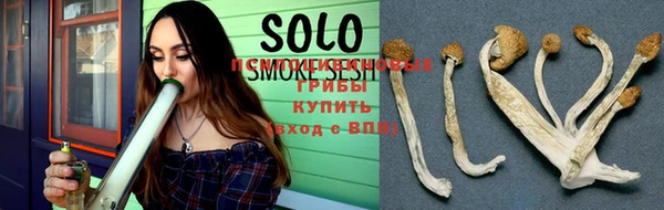 ПСИЛОЦИБИНОВЫЕ ГРИБЫ Богородицк